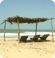 Gambia