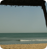 Gambian beach